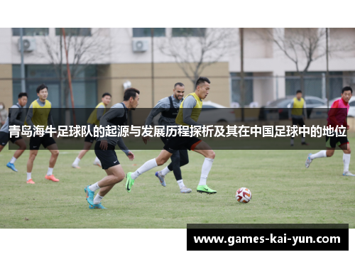 青岛海牛足球队的起源与发展历程探析及其在中国足球中的地位